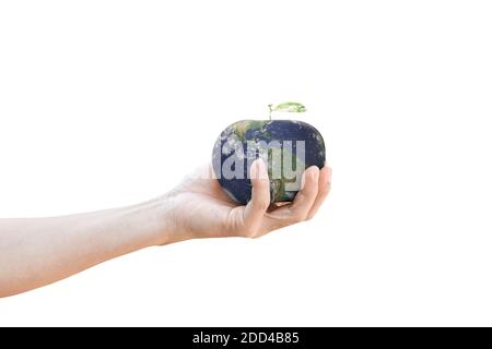 Concept d'environnement. Main tenant la forme du globe terrestre de pomme fruit, isolé sur blanc. Avec chemin de coupure Banque D'Images