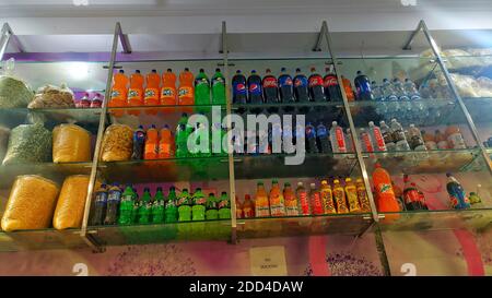 02 novembre 2020 : Reengus, Jaipur, Inde.porte vitrée réfrigérateur maquette photo horizontale boîtes de boissons gazeuses et bouteilles en plastique dans congélateur vertical à supermark Banque D'Images