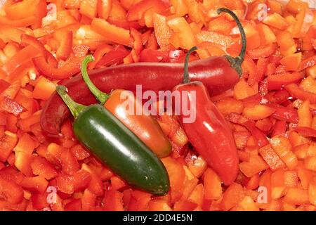 piment rouge entier posé sur fond de piment haché Banque D'Images