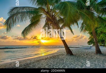 Magnifique coucher de soleil sur la mer avec vue sur les palmiers sur la plage blanche sur une île des Caraïbes de la Barbade Banque D'Images