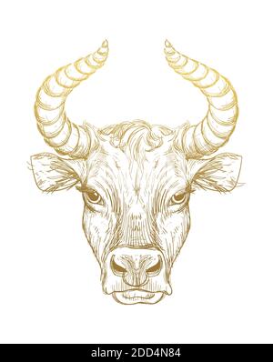 Bonne année 2021 de l'Ox, Ox-Taurus. Dessin linéaire doré sur fond blanc, tarot, tatouage, horoscope chinois, astrologie et signes du zodiaque. V Illustration de Vecteur