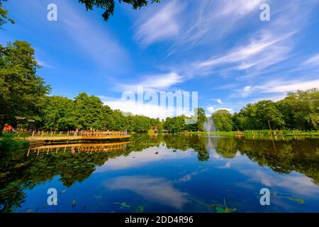 Paysage pittoresque de l'étang dans le parc d'été vert Banque D'Images