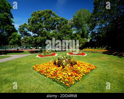 Expositions florales au parc Boscawen, Truro, Cornouailles. Banque D'Images