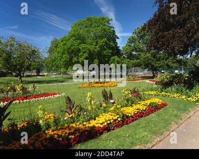 Expositions florales au parc Boscawen, Truro, Cornouailles. Banque D'Images