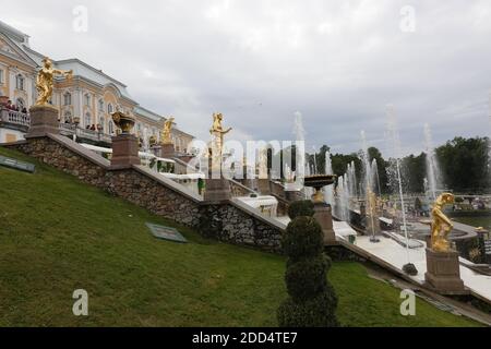 Petergof ou Peterhof connu sous le nom de Petrodvorets, ville municipale dans le district de Petrodvortsovy de la ville fédérale de Saint-Pétersbourg. Russie Banque D'Images