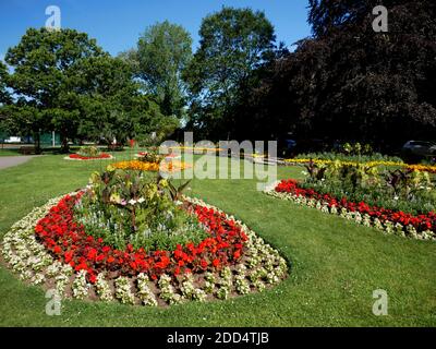 Expositions florales au parc Boscawen, Truro, Cornouailles. Banque D'Images