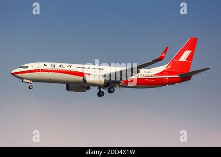 Shanghai, Chine - 28 septembre 2019 : avion Boeing 737-800 de Shanghai Airlines à l'aéroport de Shanghai Hongqiao en Chine. Boeing est un avion américain Banque D'Images