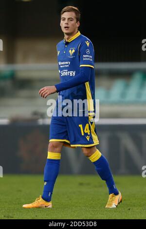 Ivan Ilic (Hellas Verona FC) pendant Hellas Verona vs Sassuolo, football italien série A Match, Vérone, Italie, 22 N - photo .LM/Francesco Scaccianoce Banque D'Images