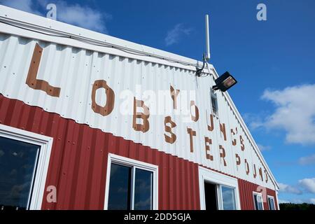 Le panneau emblématique sur le hangar métallique du restaurant Young's Lobster Pound à Belfast, Maine. Banque D'Images