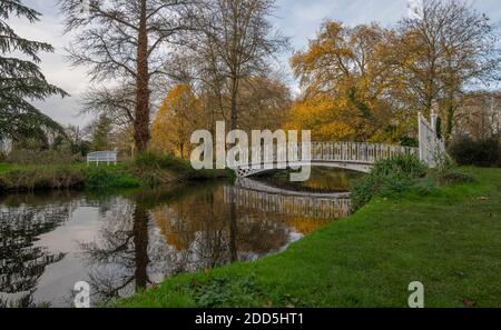 Morden Hall Park, Londres, Royaume-Uni. 24 novembre 2020. Couleurs d'automne au soleil voilé dans le parc de Morden Hall, une oasis de verdure de la banlieue de Londres avec la rivière craie Wandle traversant. Un pont voûté en fer forgé se reflète sur la surface calme de la rivière. Crédit : Malcolm Park/Alay Live News. Banque D'Images