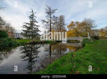 Morden Hall Park, Londres, Royaume-Uni. 24 novembre 2020. Couleurs d'automne au soleil voilé dans le parc de Morden Hall, une oasis de verdure de la banlieue de Londres avec la rivière craie Wandle traversant. Un pont voûté en fer forgé se reflète sur la surface calme de la rivière. Crédit : Malcolm Park/Alay Live News. Banque D'Images