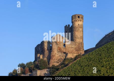 Géographie / Voyage, Allemagne, Hesse, Ruedesheim sur le Rhin, château Ehrenfels sur le Rhin du Nord , Additional-Rights-Clearance-Info-non-disponible Banque D'Images