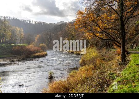 Herbst an der Lenne in Nachrodt-Wiblingwerde, Nordrhein-Westfalen, Deutschland | automne au fleuve Lenne à Nachrodt-Wiblingwerde, Rhénanie-du-Nord- Banque D'Images