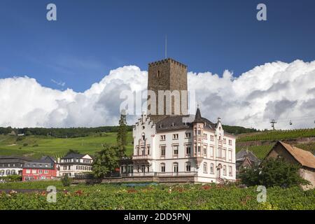 Géographie / Voyage, Allemagne, Hesse, Ruedesheim, le Boosenburg de Ruedesheim à Ruedesheim au Rhin, Uppe, droits-supplémentaires-dégagement-Info-non-disponible Banque D'Images