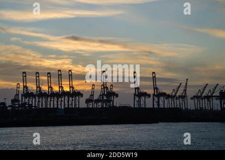 Port de Hambourg, Allemagne : silhouettes de grues au coucher du soleil par temps nuageux Banque D'Images