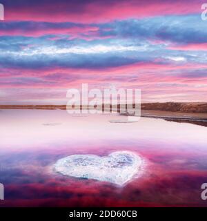 Coeur de sel dans l'eau rose lac de sel en Ukraine, Europe. Concept créatif Banque D'Images