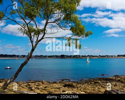 Arbres et bateaux à l'embouchure de la rivière Odet sur la côte du Finistère près de Benodet et Saint-Marine en Bretagne au nord-ouest de la France. Banque D'Images