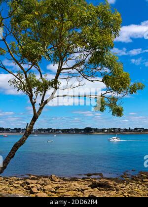 Arbres et bateaux à l'embouchure de la rivière Odet sur la côte du Finistère près de Benodet et Saint-Marine en Bretagne au nord-ouest de la France. Banque D'Images