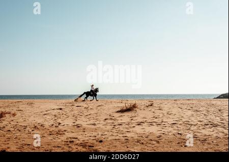 Woman riding a horse on beach Banque D'Images