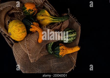 petits citrouilles pour la décoration dans un panier doublé de lin Banque D'Images