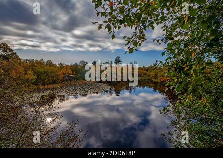 Automne à Lake Wood, UckFiled, East Sussex, Angleterre, Royaume-Uni. Banque D'Images