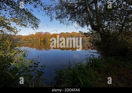 Bassin du moulin de Slaugham, Slaugham, West Sussex, Angleterre, Royaume-Uni. Banque D'Images