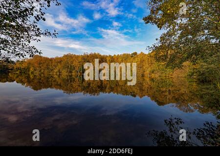 Bassin du moulin de Slaugham, Slaugham, West Sussex, Angleterre, Royaume-Uni. Banque D'Images