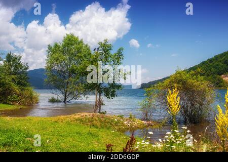 Parc national de Mavrovo en Macédoine Banque D'Images
