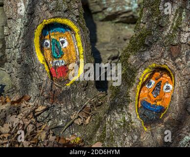 Des arbres peints et colorés se trouvent près d'Altenahr, en Allemagne Banque D'Images