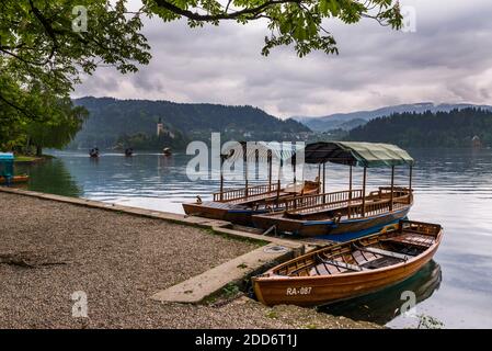 Bateaux à rames de pletna, île de Bled, Bled, Alpes juliennes, Gorenjska, région de la haute-Carniola, Slovénie, Europe Banque D'Images