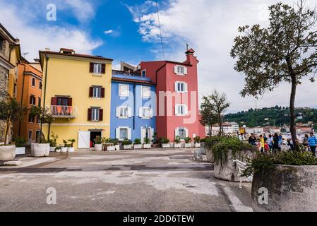 Maisons colorées à Piran, Istrie slovène, Slovénie, Europe Banque D'Images