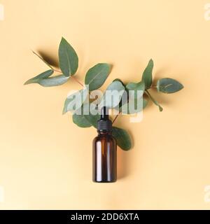 Flacon compte-gouttes en verre avec pipette à pointe en caoutchouc noir et eucalyptus sur fond orange. Concept de la peau de la nature. Cosmeti de spa bio Banque D'Images