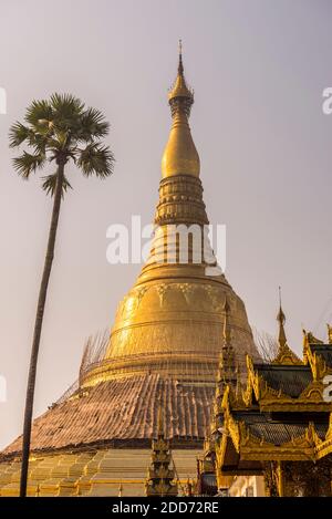 Pagode Shwedagon (alias Shwedagon Zedi Daw ou Pagode dorée), Yangon (Rangoon), Myanmar (Birmanie) Banque D'Images