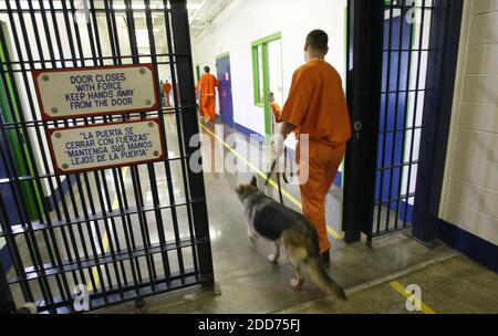 PAS DE FILM, PAS DE VIDÉO, PAS de TV, PAS DE DOCUMENTAIRE - les détenus et leurs chiens se dirigent dehors pour une pause comme ils prennent part à un programme à l'unité Sander Estes du système pénitentiaire d'État à venus, TX, Etats-Unis le 15 août 2007. Certains détenus sont autorisés à former des chiens sauvés pour être adoptés dans de nouvelles maisons comme animaux de compagnie. Photo de Rodger Mallison/fort Worth Star-Telegram/MCT/ABACAPRESS.COM Banque D'Images