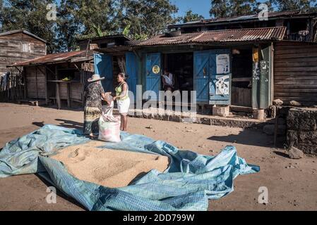 Riz, Andasibe, région d'Alaotra-Mangoro, est de Madagascar Banque D'Images