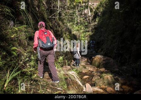 Touristes marchant dans un canyon dans le parc national d'Isalo, région d'Ihorombe, sud-ouest de Madagascar Banque D'Images