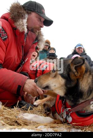 PAS DE FILM, PAS DE VIDÉO, PAS de TV, PAS DE DOCUMENTAIRE - Iditarod SLED chien musher lance Mackey a été deuxième dans le point de contrôle d'Unalakleet au village de Bering Sea en Alaska le 9 mars 2008. Photo de Bob Hallinen/Anchorage Daily News/MCT/Cameleon/ABACAPRESS.COM Banque D'Images