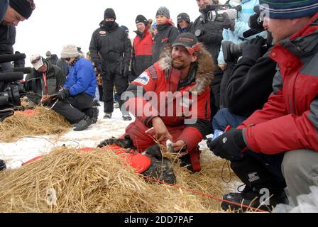 PAS DE FILM, PAS DE VIDÉO, PAS de TV, PAS DE DOCUMENTAIRE - le chien de traîneau Iditarod, son lance Mackey a été deuxième dans le point de contrôle d'Unalakleet au village de Bering Sea en Alaska le 9 mars 2008. Photo de Bob Hallinen/Anchorage Daily News/MCT/Cameleon/ABACAPRESS.COM Banque D'Images