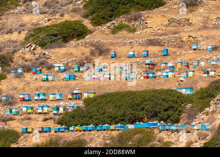 Ruches colorées sur une pente de montagne sur l'île d'iOS en Grèce, Cyclades Banque D'Images