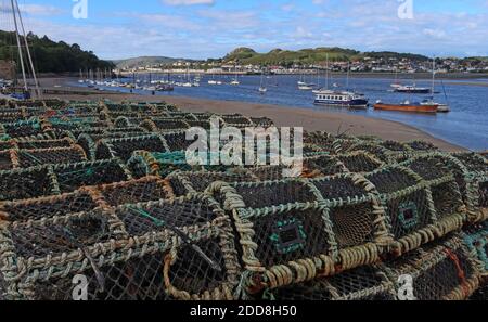 Potes de homard, sur le port, rivière Conwy, Conway Quay, Gwynedd, nord du pays de Galles, Royaume-Uni Banque D'Images