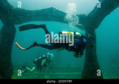 PAS DE FILM, PAS DE VIDÉO, PAS de TV, PAS DE DOCUMENTAIRE - Guy Gleichmann, de Pompano Beach (R) plongée a plongé pour voir l'enterrement des restes incinérés de sa mère, comme Jim Hutslar, de Neptune Memorial Reef, place soigneusement les restes incinérés d'Emma Gleichmann, Mélangé avec du ciment et placé dans un moule de mer avec une plaque de nom, à Neptune Memorial Reef sous la mer et à trois miles et quart de Key Biscayne, Floride, États-Unis le 18 juin 2009. Photo de Carey Wagner/South Florida Sun-Sentinel/MCT/ABACAPRESS.COM Banque D'Images