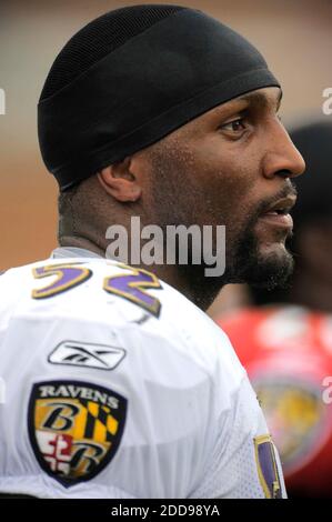 PAS DE FILM, PAS DE VIDÉO, PAS de TV, PAS DE DOCUMENTAIRE - Baltimore Ravens linebacker Ray Lewis (52) lors d'une session de formation au McDaniel College à Westminster, Maryland, Etats-Unis, le 6 août 2009. Photo de Karl Merton Ferron/MCT/ABACAPRESS.COM Banque D'Images