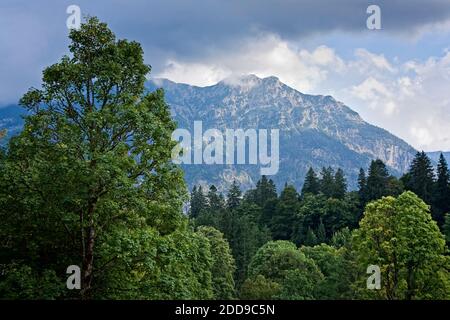 Parc, château de Linderhof, Oberbayern, Bavière, Allemagne Banque D'Images