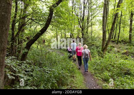Famille marchant avec une calèche dans la forêt Banque D'Images