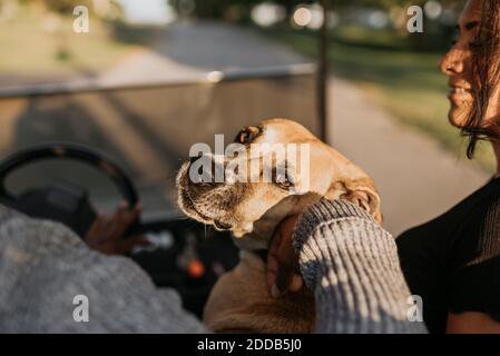 Homme et femme assis avec un chien tout en conduisant une voiturette de golf sur route Banque D'Images