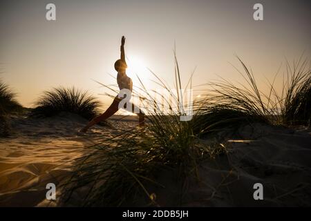 Silhouette jeune femme pratiquant le yoga de position de guerrier parmi les plantes à plage contre ciel clair pendant le coucher du soleil Banque D'Images