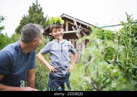 Garçon joueur avec plante sur la tête regardant le père dedans jardin Banque D'Images