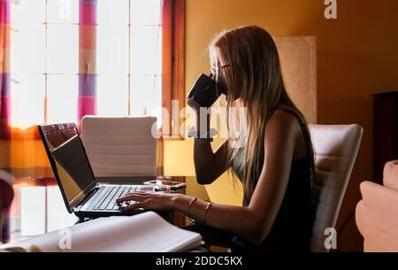 Fille utilisant un ordinateur portable tout en buvant du café à la maison Banque D'Images