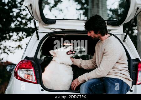 Homme assis avec un chien dans le coffre de voiture à la forêt Banque D'Images