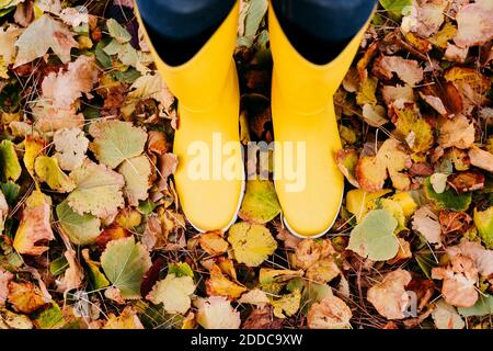 Femme portant des bottes en caoutchouc sur les feuilles d'automne Banque D'Images